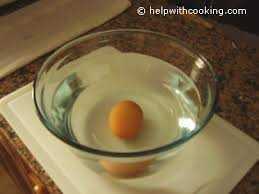 Egg in Water